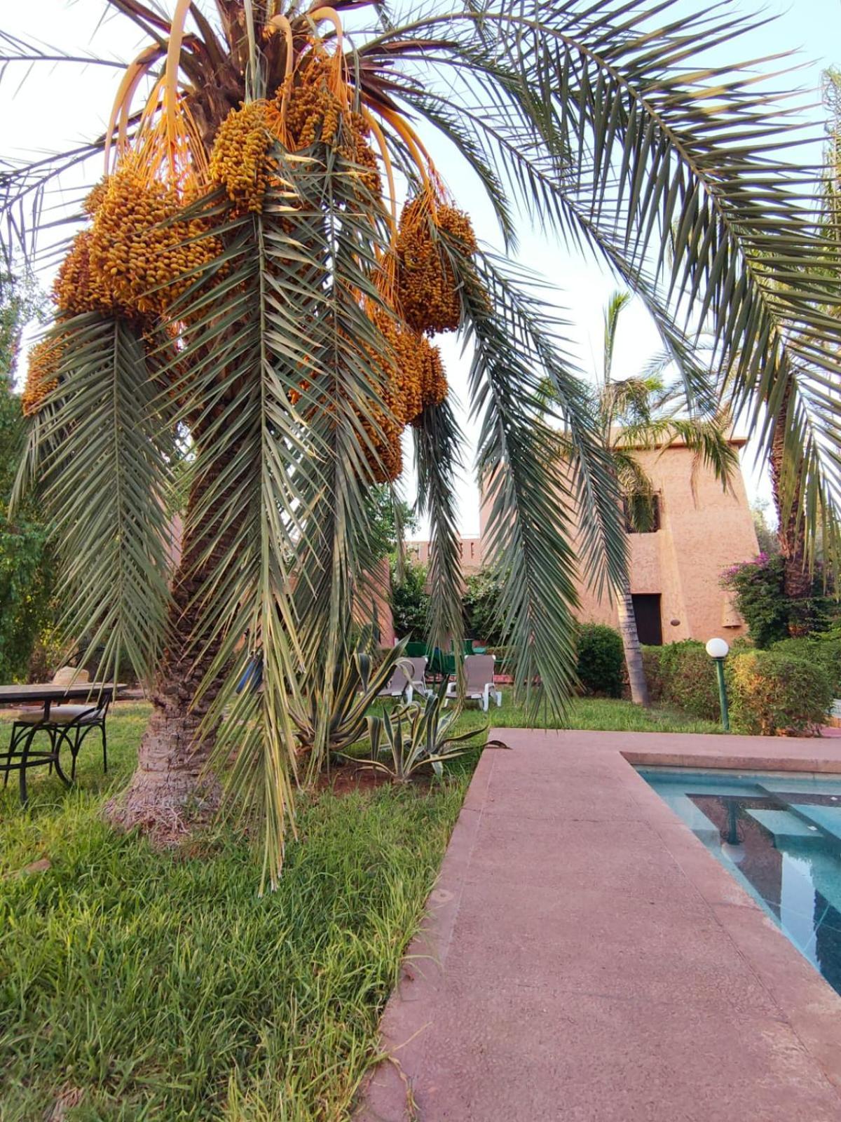 Riad Sheherazade Marrakech 马拉喀什 外观 照片