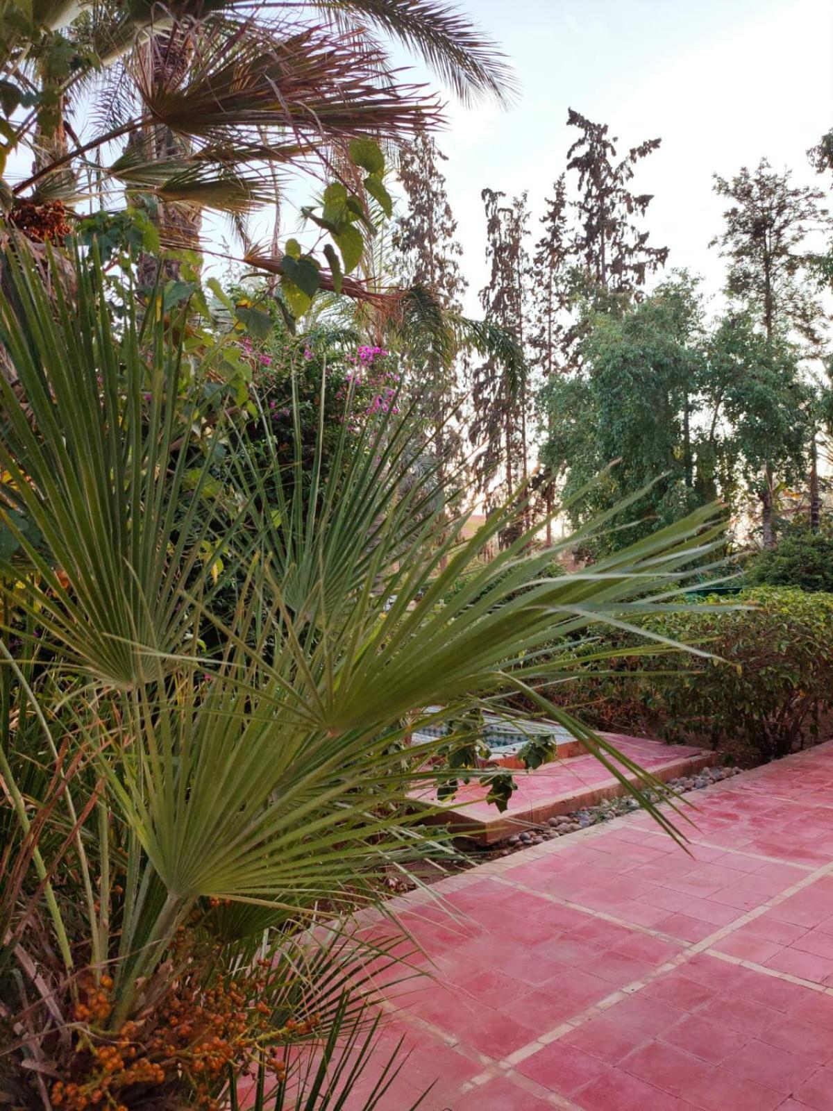 Riad Sheherazade Marrakech 马拉喀什 外观 照片