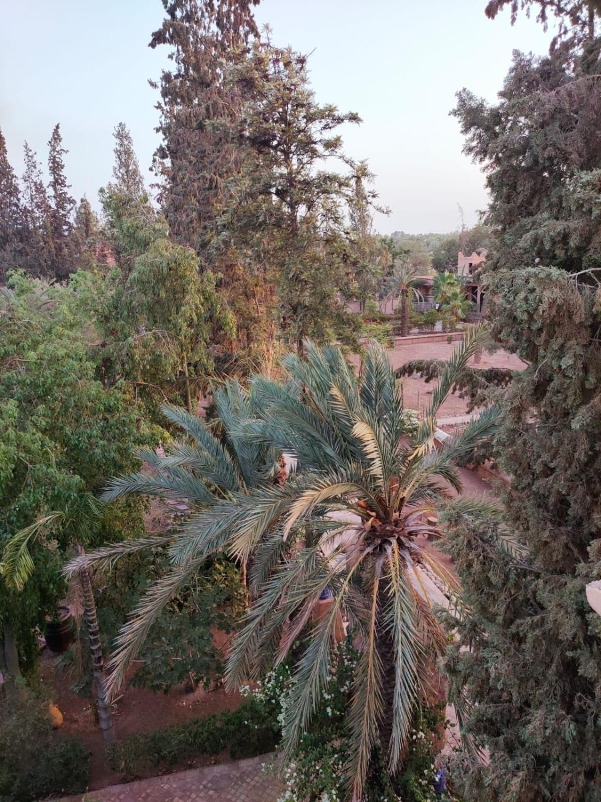 Riad Sheherazade Marrakech 马拉喀什 外观 照片