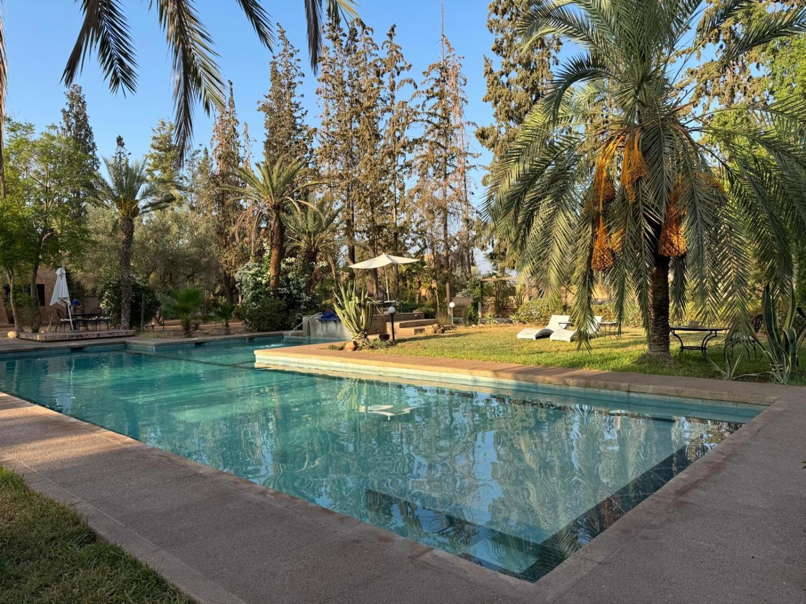 Riad Sheherazade Marrakech 马拉喀什 外观 照片