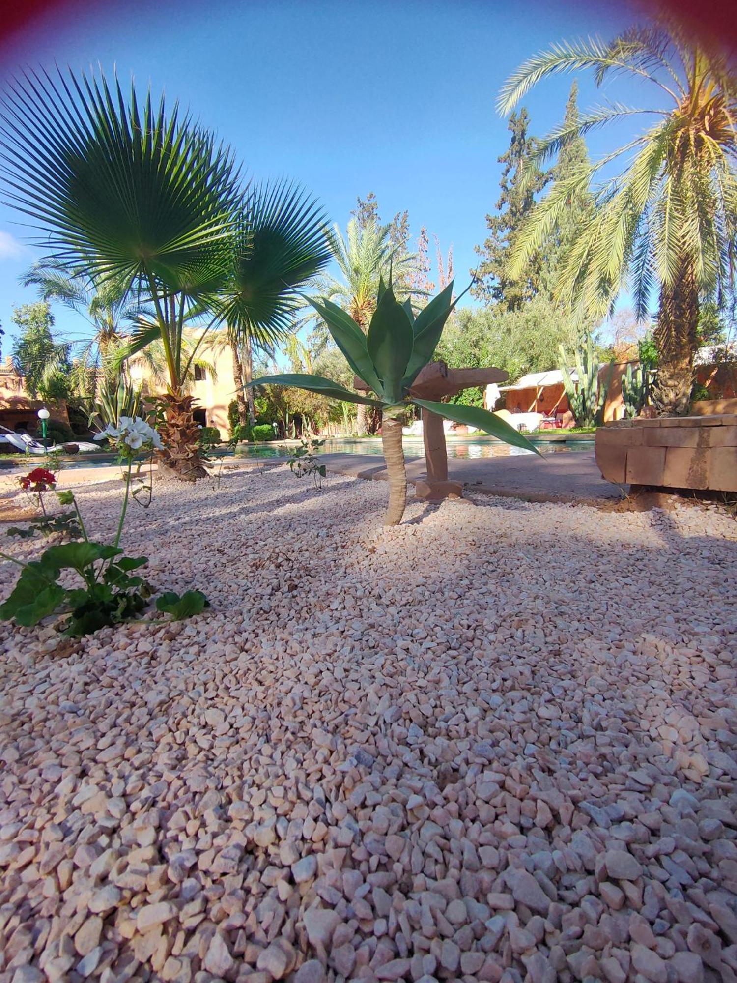 Riad Sheherazade Marrakech 马拉喀什 客房 照片
